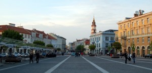Vilnius town Hall view